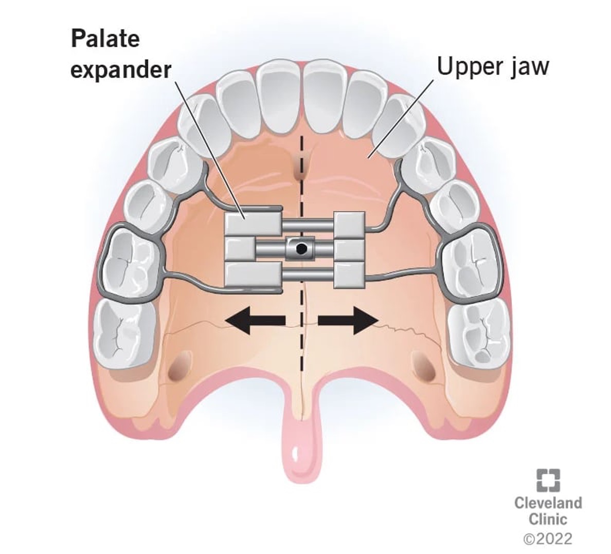 Image of dentist for kids